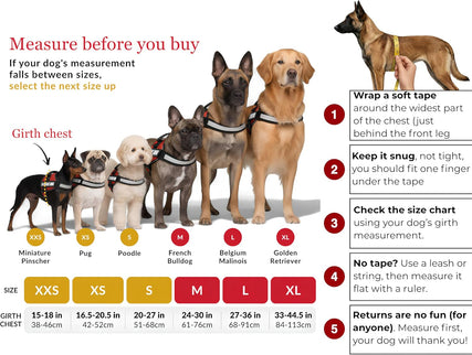 Reflective Therapy Dog Vest Harness with 2 Removable Patches, Adjustable Woven Nylon, for Therapy Visits and Volunteer Programs, Red, Extra Small