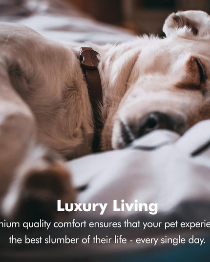 X-Large Dog Bed, Orthopedic Dog Sofa Memory Foam Mattress, Calming Dog Couch Bed, Wall Rim Pillow, Water Resistant Liner, Washable Cover, Non-Slip Bottom, Chester, X-Large Cocoa Brown