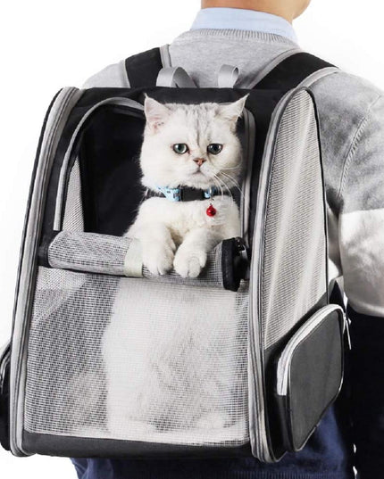 Innovative Traveler Bubble Backpack Pet Carriers for Cats and Dogs (Black)