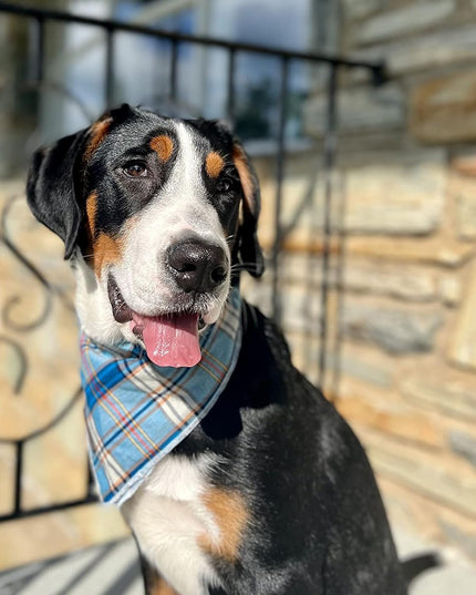 Dog Bandana for Small Medium Large Dogs, Cat Kerchief Blue Plaid, Triangle Bibs Scarf for Girl or Boy