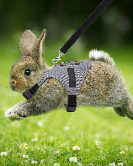 Rabbit Vest Harness and Leash Set Adjustable Formal Suit Style for Bunny or for Small Animals. (S)