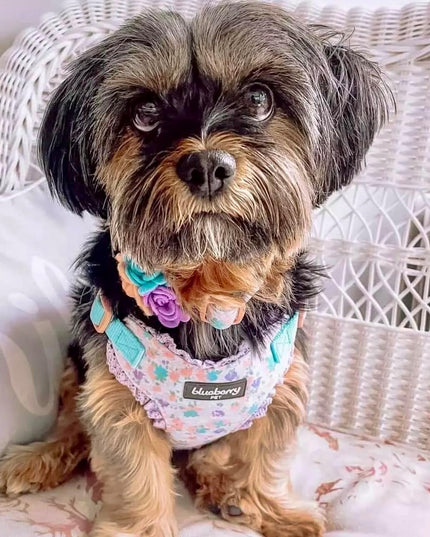 Cute Floral Print Adjustable Dog Collar in Lavender with Detachable Flower Accessory, X-Small, Neck 7.5"-10" for Female Dogs