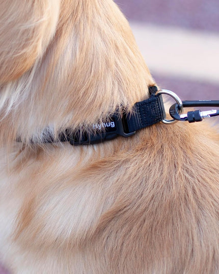 Medium Dog Collar, Black:Heavy-Duty Quick-Release Nylon Buckle, Adjustable & Durable, Cute Dog Collar (Medium, Black)