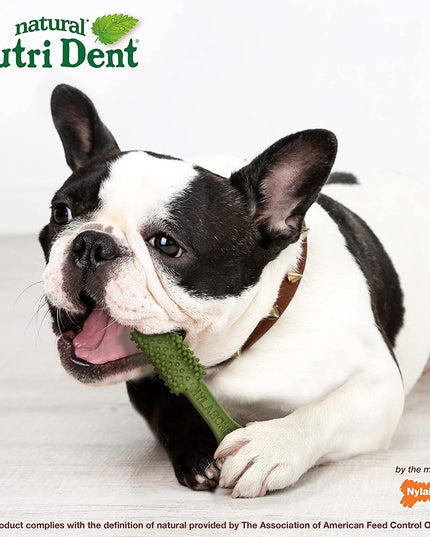 Nutri Dent Dog Dental Treats - Natural Dog Teeth Cleaning & Breath Freshener - Dental Treats for Dogs - Fresh Breath Flavor, Medium (40 Count)
