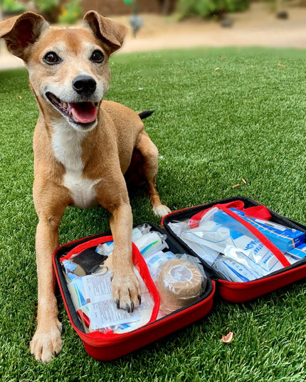 Emergency Pet First Aid Kit 60 Pc Veterinarian Approved