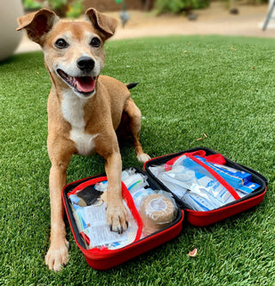 Emergency Pet First Aid Kit 60 Pc Veterinarian Approved