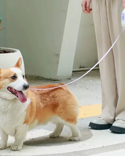 Advanced Durable Automatic Retractable Leash with Flashlight.