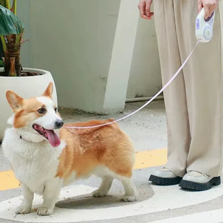 Advanced Durable Automatic Retractable Leash with Flashlight.