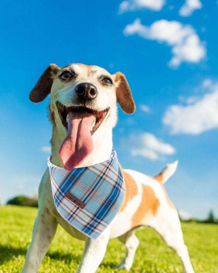 Dog Bandana for Small Medium Large Dogs, Cat Kerchief Blue Plaid, Triangle Bibs Scarf for Girl or Boy