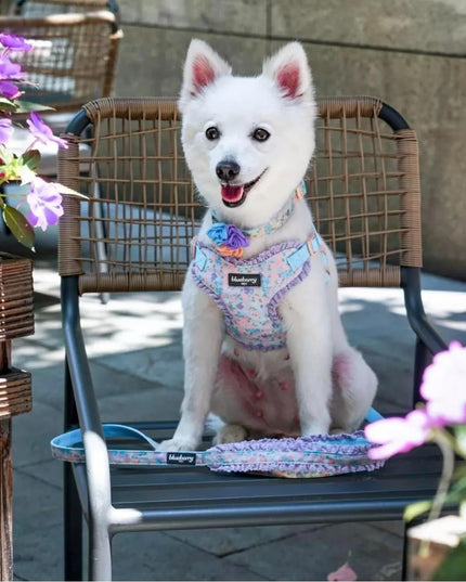Cute Floral Print Adjustable Dog Collar in Lavender with Detachable Flower Accessory, X-Small, Neck 7.5"-10" for Female Dogs