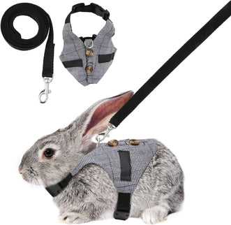 Rabbit Vest Harness and Leash Set Adjustable Formal Suit Style for Bunny or for Small Animals. (S)