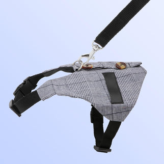 Rabbit Vest Harness and Leash Set Adjustable Formal Suit Style for Bunny or for Small Animals. (S)