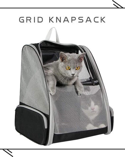 Innovative Traveler Bubble Backpack Pet Carriers for Cats and Dogs (Black)